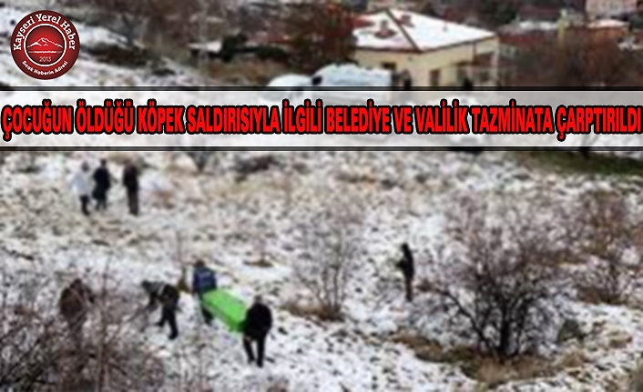Belediye ve Valilik Tazminata Çarptırıldı